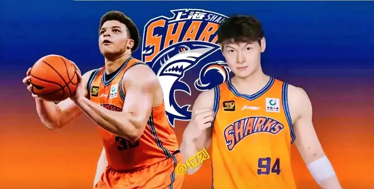 柏林赫塔重回巅峰，拜仁慕尼黑主场过关斩将的简单介绍